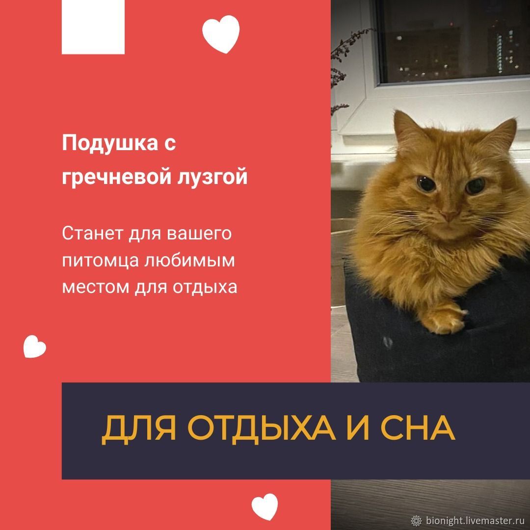 Набор для кошки 