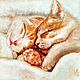 Картина кот и кошка спящие романтика Теплые коты, Картины, Екатеринбург,  Фото №1