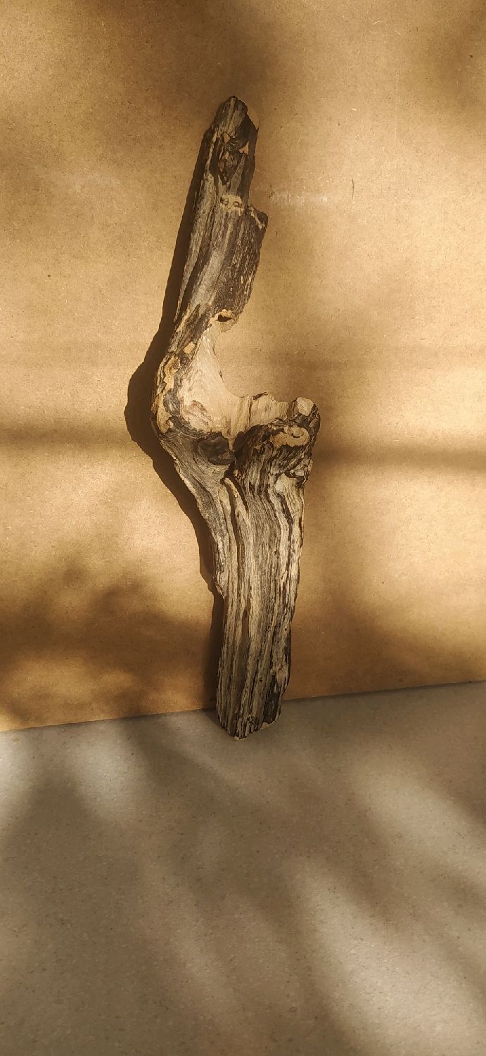 Коряга дрифтвуд driftwood декоративная в интернет-магазине Ярмарка ...