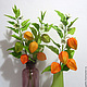 Оранжевый привет в цветках физалиса, Композиции, Бат-Ям,  Фото №1