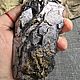 Галенит кристаллы 1кг. Коллекционные минералы. Друза. Друза. Seven Minerals. Ярмарка Мастеров.  Фото №6
