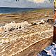 Картина с морем. Картина в коричневых тонах. Морской берег. Подарок. Картины. Belozerova-kseniya. Ярмарка Мастеров.  Фото №4