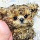 Maltipoo (18 см тедди щенок). Тедди Зверята. Ирина Ермакова. Ярмарка Мастеров.  Фото №5