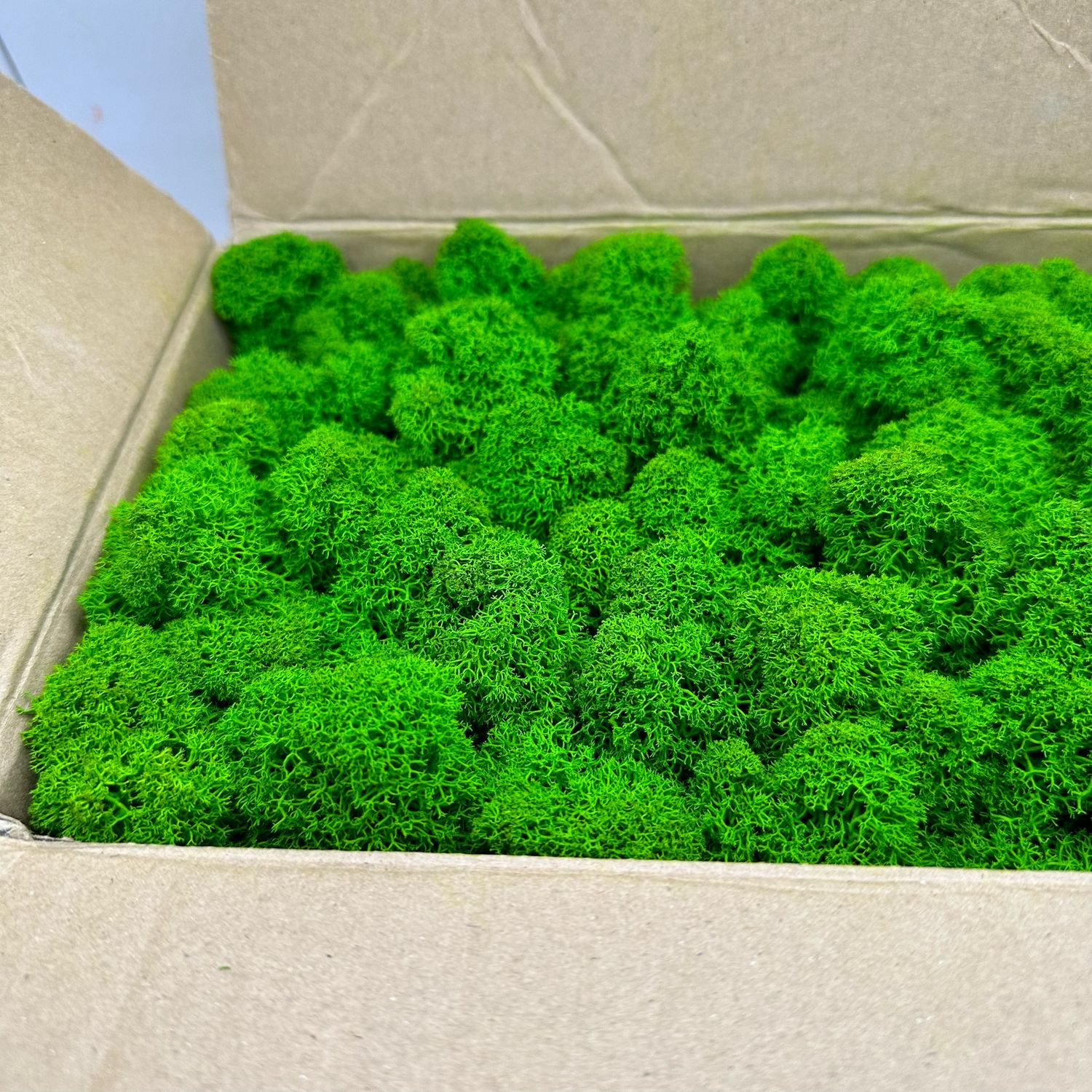 Купить Форму Мох В Екатеринбурге