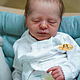 Заказать Молд реборн Realborn Aspen asleep/awake, Leif. Анна. Ярмарка Мастеров. . Заготовки для кукол и игрушек Фото №3