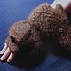 Men's knitted mittens-transformers Bitter chocolate, Mittens, Klin,  Фото №1