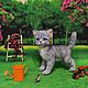 Котенок Барсик. Мягкие игрушки. Екатерина  Ким. Ярмарка Мастеров.  Фото №5