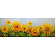 Солнечный цветок, Картины, Симферополь,  Фото №1