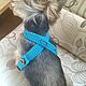 Knitted harness for small dogs, handmade dog collar. Harness for pets. elenatricoter. Online shopping on My Livemaster.  Фото №2