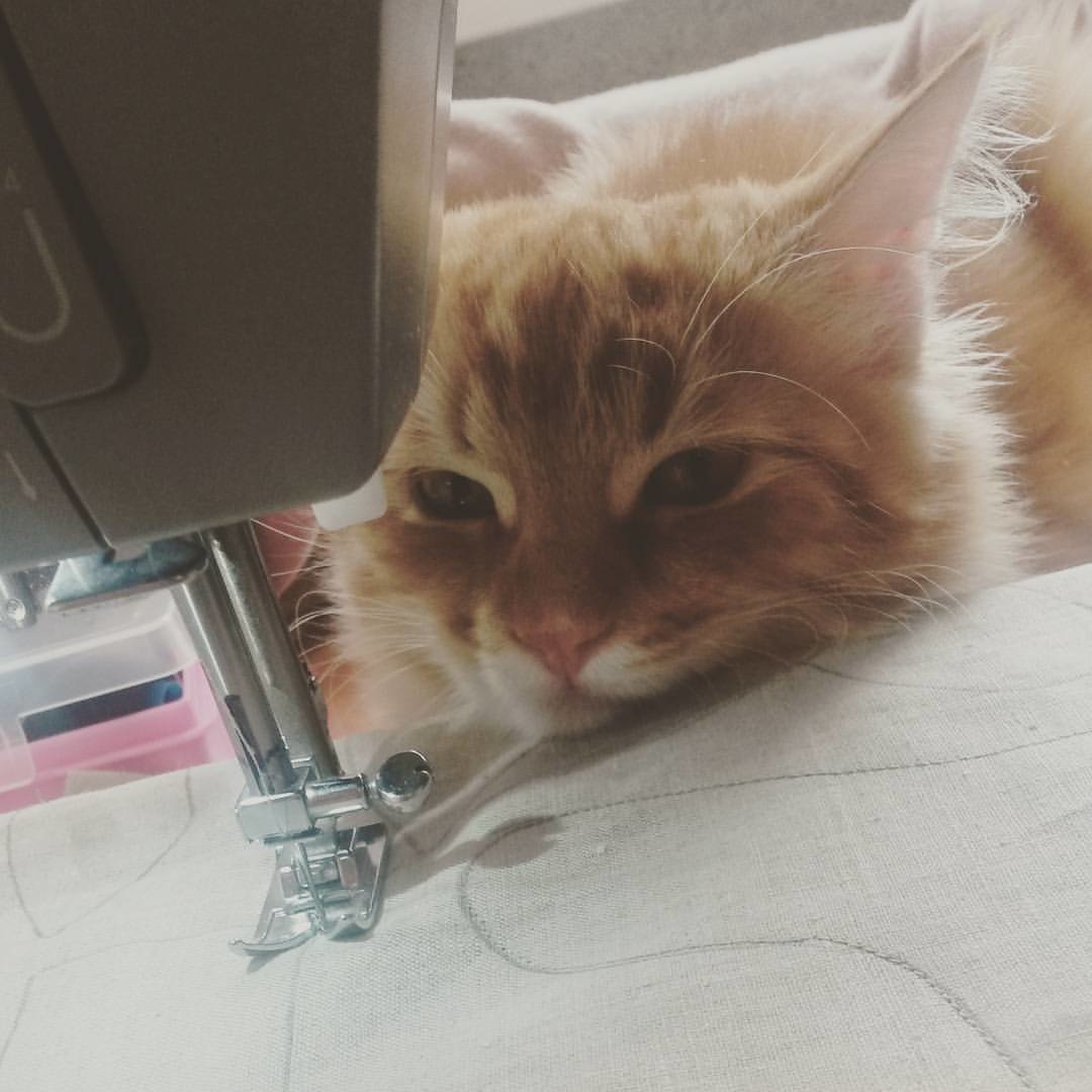 У меня много помощников!)