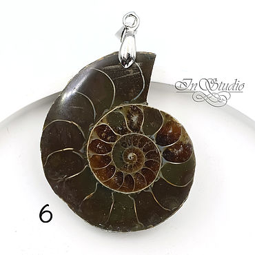 Материалы для творчества ручной работы. Ярмарка Мастеров - ручная работа Аммонит 39 мм подвеска раковина окаменелость. Handmade.