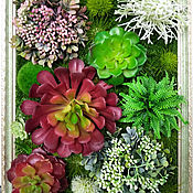 Флорариумы: Флористческая композиция с домиком