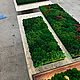 Фитопанно из мха 120*45см. Фитокартины. Green.Box. Интернет-магазин Ярмарка Мастеров.  Фото №2