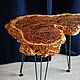 Order The table from the elm 'is now the dwelling of the sabretooth'. foreststreet. Livemaster. . Tables Фото №3