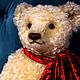  Alexander. Teddy Bears. Milaniya Dolls (milaniyadolls). Online shopping on My Livemaster.  Фото №2