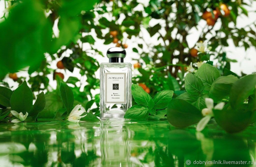 Раскладушки флер. Jo Malone basilic. Jo Malone London — Basil & Neroli. Джо Малон 30 мл. Джо Малон базилик.