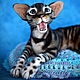 Copy of Copy of Copy of Copy of Copy of Copy of Cat Mystical Mystery, Stuffed Toys, Moscow,  Фото №1