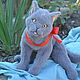 Серый кот. Игрушка ручной работы, Тедди Зверята, Симферополь,  Фото №1