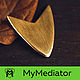 The mediator brass: Arrow, Guitar picks, Zhukovsky,  Фото №1