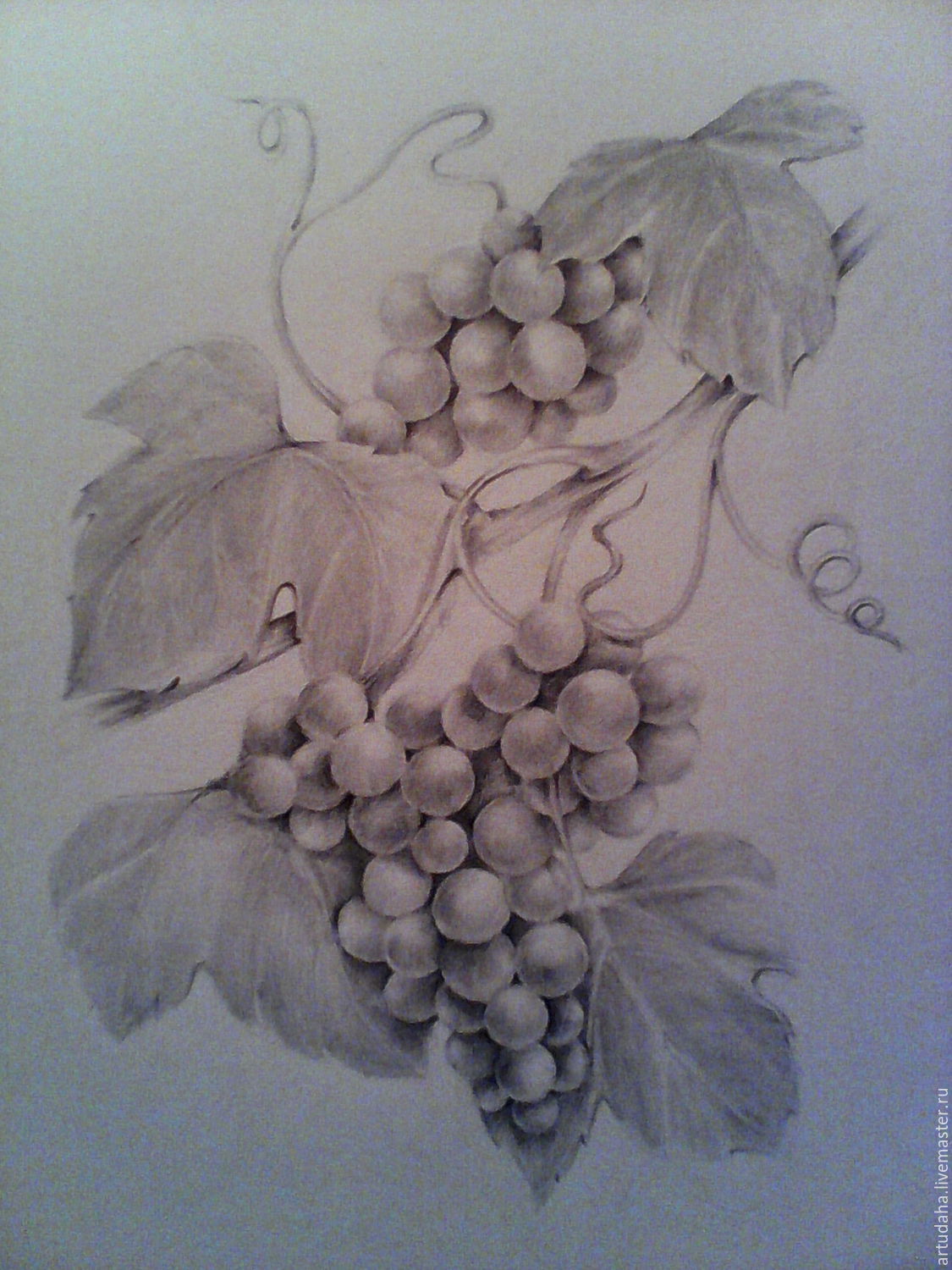 Виноградная гроздь барельеф