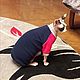 Clothes for cats ' semi-Overalls fleece-Super comfort', Pet clothes, Biisk,  Фото №1