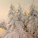 Pastel painting of a winter landscape in the forest in soft colors. Pictures. paintmart (oikos). Online shopping on My Livemaster.  Фото №2
