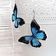 Transparent Butterfly Earrings Blue Black Butterfly Epoxy Resin Boho. Earrings. WonderLand. Online shopping on My Livemaster.  Фото №2