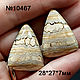  Зуб мамонта,кабошоны(10467), Кабошоны, Егорьевск,  Фото №1