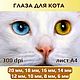 Радужки для кукол и игрушек. Глаза для кота - №12, Шаблоны для печати, Донецк,  Фото №1
