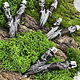  Курипи Dragon Silver. Трубка для рапэ. Shamanic-staff. Ярмарка Мастеров.  Фото №5