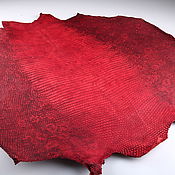 Материалы для творчества handmade. Livemaster - original item Lizard skin, abdominal part of the skin, width 39-41cm IMR2005H. Handmade.