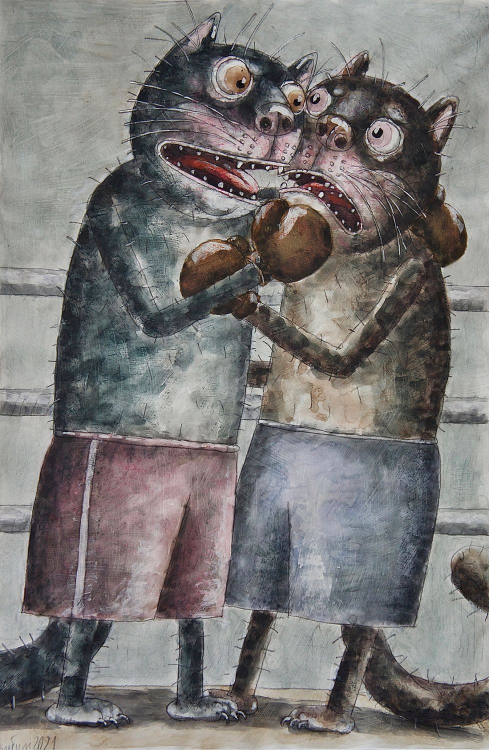 Кот боксер картинки
