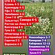 Стопка керамическая. Рюмки. taceramiks64. Ярмарка Мастеров.  Фото №5