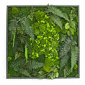 Panels of moss with illumination