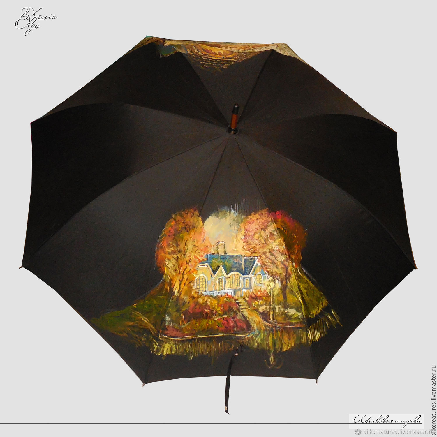 Зонтик спб. Зонт FALCONEYES "Urk-60tgs". Зонт расписной. Необычные зонты. Зонт с Питером.