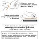 Розовый и сахарный кварц женский браслет с буквой. Браслет из бусин. ШЁПОТ КАМНЯ. Ярмарка Мастеров.  Фото №6