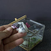 Цветы и флористика handmade. Livemaster - original item the florariumov: Dry aquarium with marble axolotl figurine. Handmade.