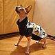 Одежда для кошек "Толстовка - Стильные кошки". Одежда для питомцев. Happy-Sphynx. Интернет-магазин Ярмарка Мастеров.  Фото №2
