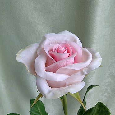 Букет из роз
