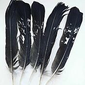 Перо пух Индейка. 20 перьев набор. Натуральные. Для творчества