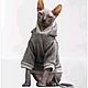 Cat clothes 'Hoodie with fur inside 'Sport 2', Pet clothes, Biisk,  Фото №1