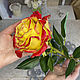 Роза из холодного фарфора (желтый, красный) Резерв, Цветы, Москва,  Фото №1