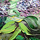 Pintura al óleo de el Misterio de la lila. Pictures. Dubinina Ksenya. My Livemaster. Фото №4