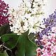 Сирень из полимерной глины. Букеты. Юлия Требунцова (flowershouse). Ярмарка Мастеров.  Фото №4