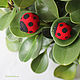 Brooch 'ladybug' dry felting, original gift, Brooches, Ust-Ilimsk,  Фото №1