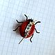 Brooch 'ladybug'. Brooches. ETNOMIR (ethnomir). My Livemaster. Фото №4