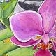  ' Flower watercolor' watercolor paintings. Pictures. flamemilady. My Livemaster. Фото №6