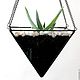 The Floriana. Hanging interior Floriana with aloe. Prism. Florariums. Glass Flowers. My Livemaster. Фото №6