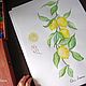  Sprig of lemons watercolor. Pictures. vettochka. My Livemaster. Фото №4
