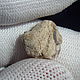 Необработанный Эфиопский Опал - 3,55 ct (13*13*6,5 Мм). Минералы. Сокрытое в Листве. Ярмарка Мастеров.  Фото №6
